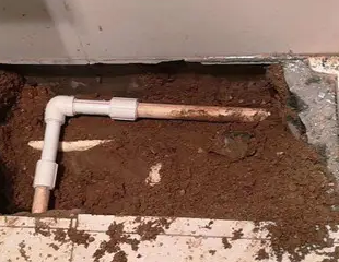 莲池测漏水哪家好