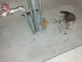 莲池卫生间测漏水价格明细